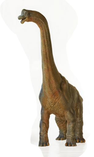 brachiosauro